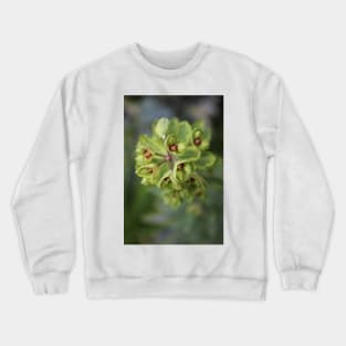 Extra green euphorbia Crewneck Sweatshirt